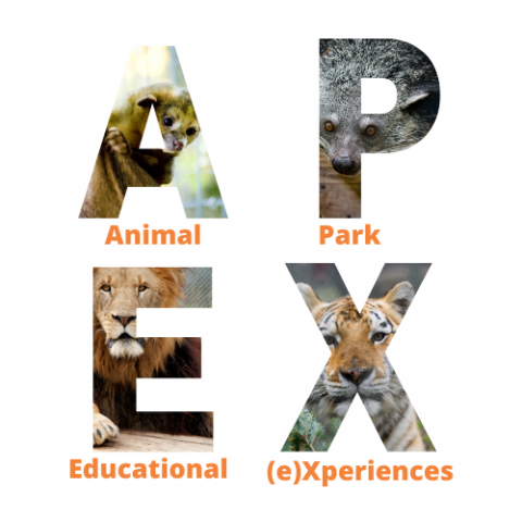 Animal Park Educational Experiences