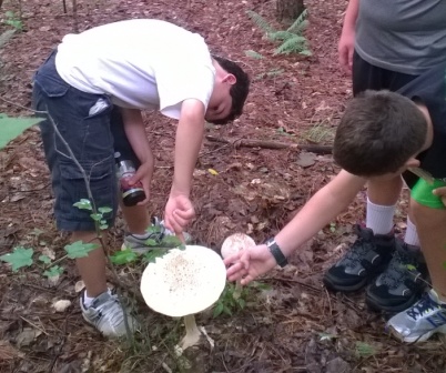Great Nature Hunt