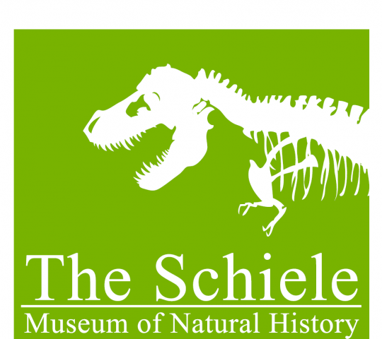 Schiele logo