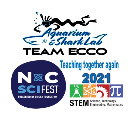 STEM on the Streets