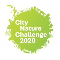 City Nature Challenge 2020
